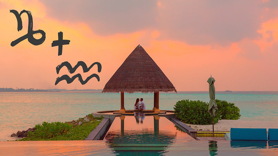 Козерог и Водолей совместимость